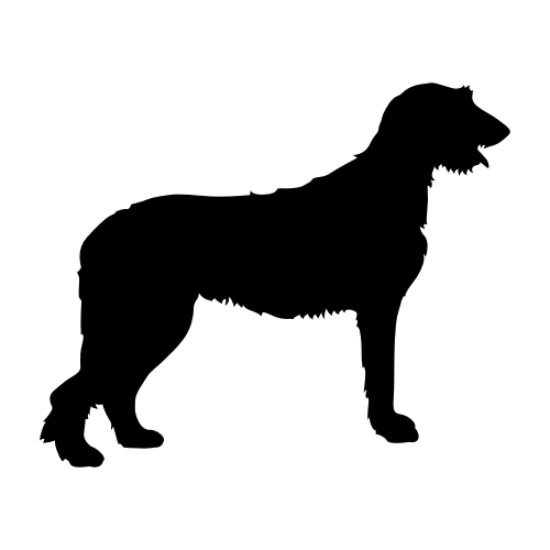 Irish Wolfhound Wandtattoos