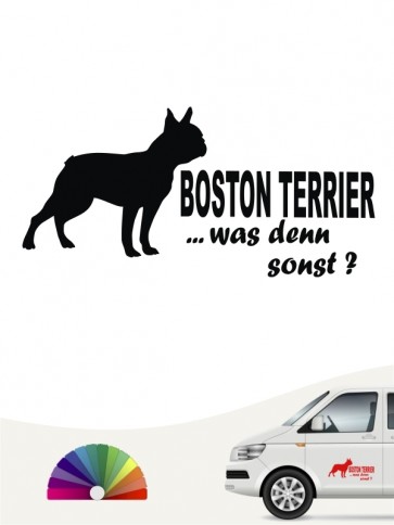 Was denn sonst Boston Terrier Autoaufkleber anfalas.de