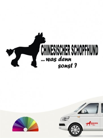 Hunde-Autoaufkleber Chinesischer Schopfhund 7 von Anfalas.de