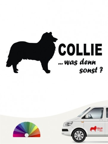 Collie was denn sonst Hundeaufkleber anfalas.de