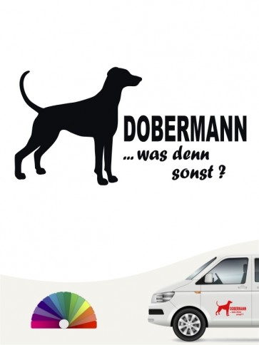 Was denn sonst Dobermann Autoaufkleber anfalas.de