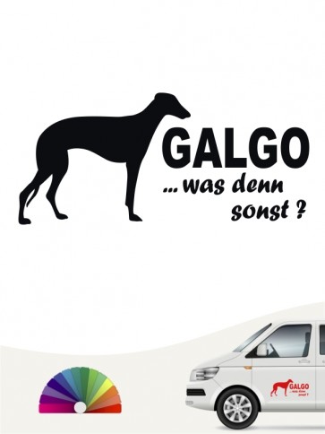 Was denn sonst Galgo Hundeaufkleber anfalas.de