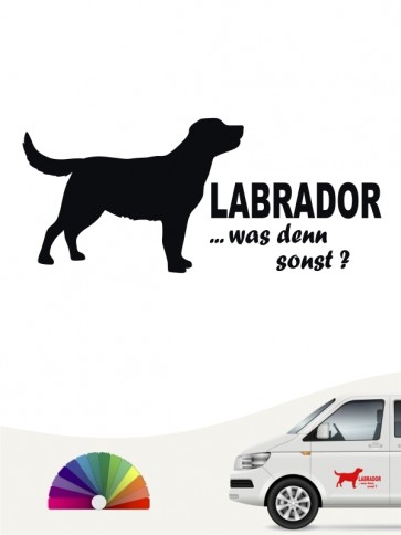 Labrador was denn sonst Autosticker von anfalas.de