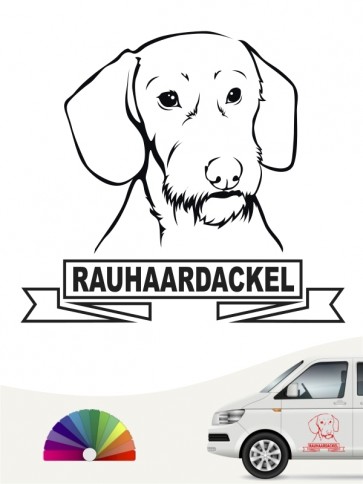 Hunde-Autoaufkleber Rauhaardackel 15 von Anfalas.de