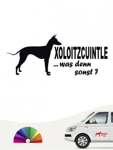 Xoloitzcuintle Autoaufkleber was denn sonst anfalas.de