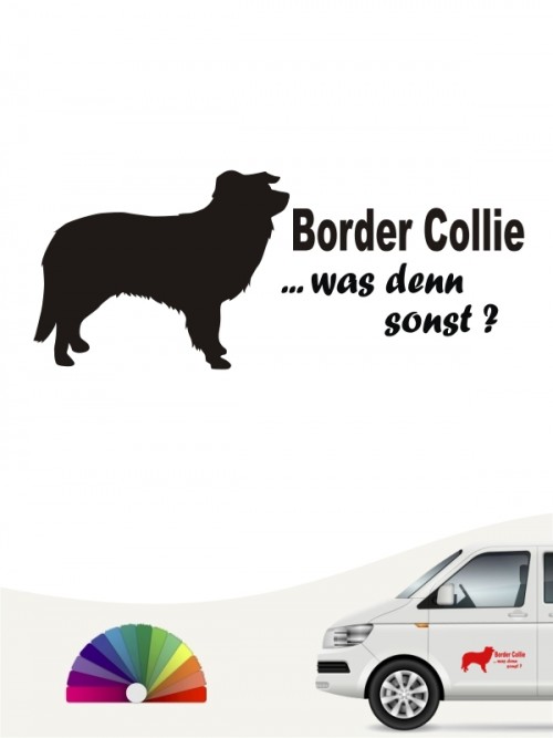 Was denn sonst Border Collie Autosticker anfalas.de