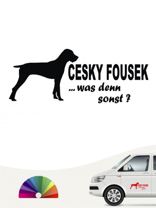 Cesky Fousek was denn sonst Autoaufkleber anfalas.de
