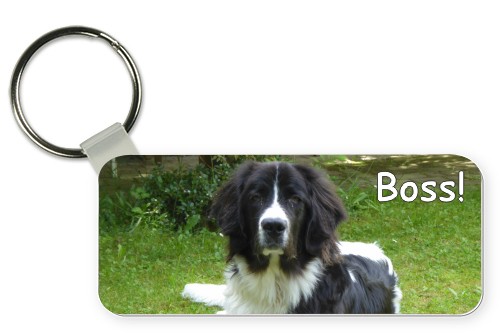 5x2,9cm,Aluminium Hunde Schlüsselanhänger mit oder ohne Namen Fox_Terrier 
