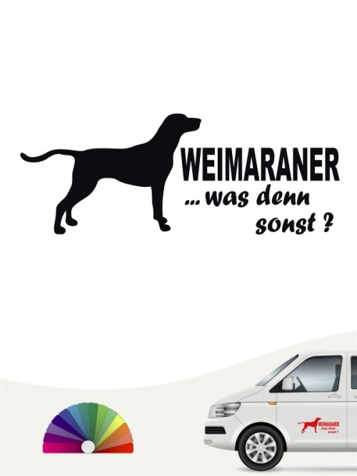 Weimaraner was denn sonst Hundeaufkleber anfalas.de