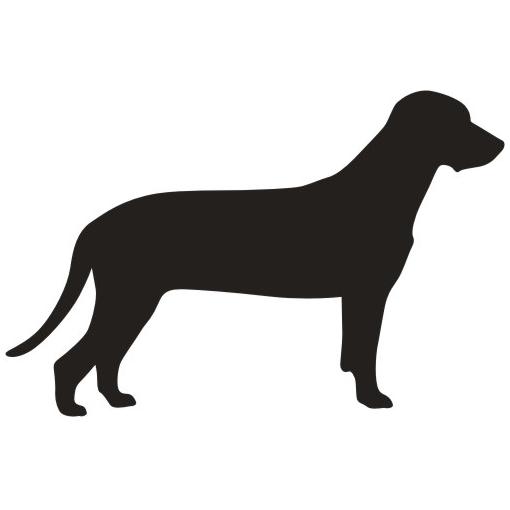 Mantrailing Hundesport Warnweste Sicherheitsweste mit Namen oder Text  personalisiert (Motiv 8) Grün L : : Auto & Motorrad
