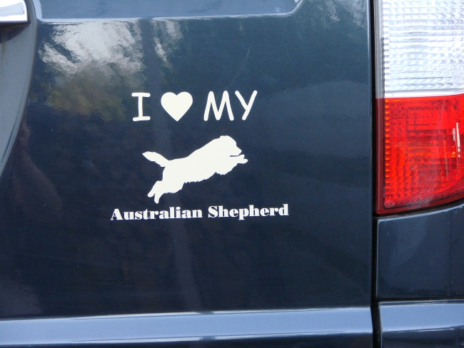 Australian Shepherd Hundeaufkleber Anfalas.de