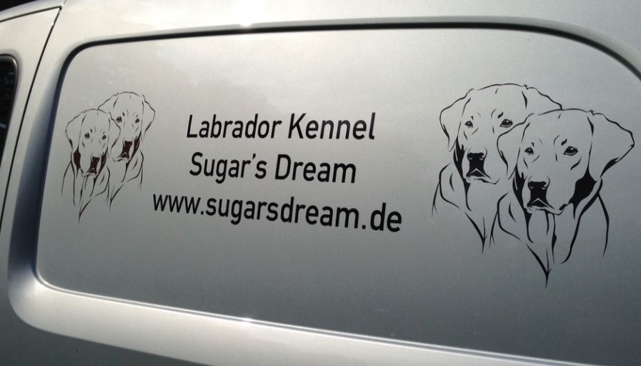 Labrador Retriever Hundeaufkleber Auto Anfalas.de
